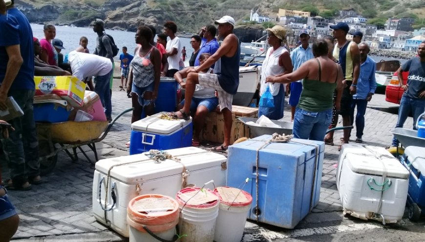 Brava: Mercadorias ficam em terra – peixeiras de Furna indignadas