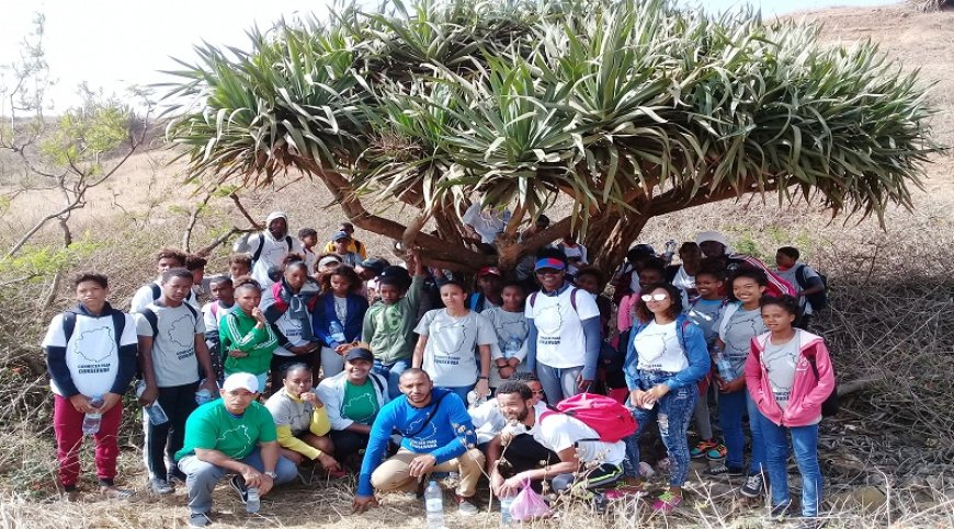 Brava: Project for the Conservation of Endemic Plants on Brava Island aims to work on environmental education