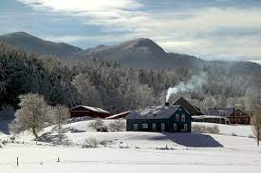 Intense cold front from the Arctic reaches the Northeast of the USA and the country can record up to -79° Celsius