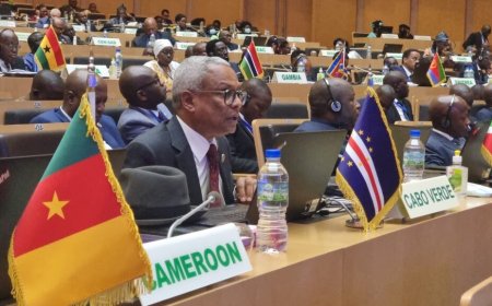 Zona de Livre Comércio: PR defende atenção especial aos Pequenos Estados Insulares