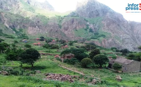 Brava: Associação Biflores will create a nursery in Travessa to help with the reforestation of the Fajã d´Água stream