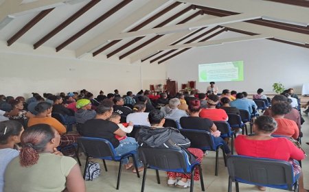 Brava: ICCA intends to work “hand in hand” with schools in raising awareness about parental responsibility