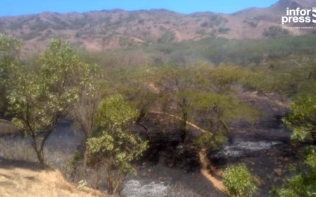 Brava: Responsible for Civil Protection warns of the need to redouble care and avoid fires