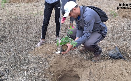 Brava: MAA delegation warns of the need to preserve trees and forests