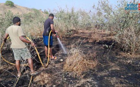 Brava: Fire of unknown origin breaks out about 100 square meters in the vicinity of Aquiles D´Oliveira Stadium