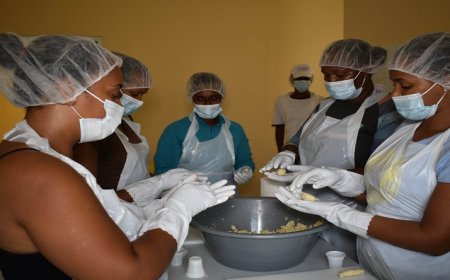 Brava: Project I beneficiaries of the local employment and employability network convinced of the benefits of the project