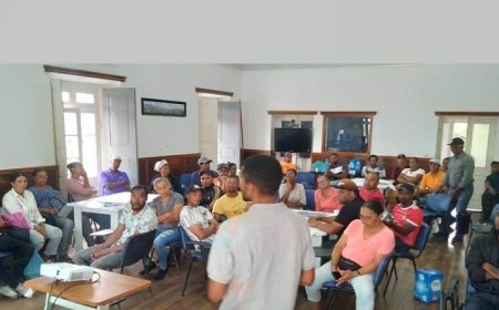 Brava: A Associação Biflores e outras instituições e criadores de gado preparam implementação de projecto de pastoreio sustentável