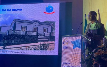 Mayor of Brava in Castelo Branco, with Handmade Lace and Embroidery in her luggage