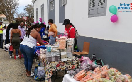 Brava: Feira Livre ganha espaço na agenda das mulheres expositoras e vira rotina para visitantes