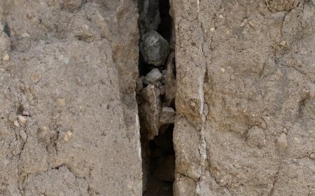 Djabraba has tcheu antritela di rotcha and braco di mar