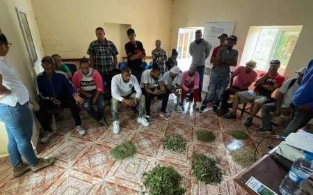 Brava: Sustainable grazing project trains 22 breeders in “animal health and diet”
