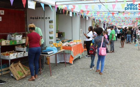 Brava: Exhibitors at the agricultural fair confident that the results will be “better and beneficial”
