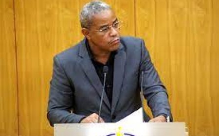 PAICV: Leader of the parliamentary group “concerned” and “saddened” with the current situation of TACV - air corridor to Lisbon is up for auction due to debts