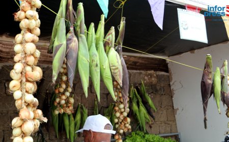 Municipality Day/Brava: Exhibitors satisfied with the results of the 12th edition of the Agricultural Fair