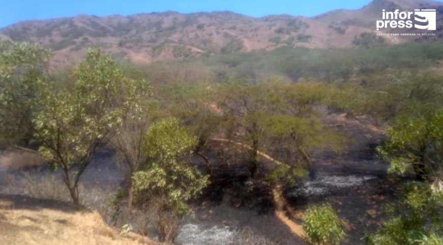 Brava: Responsável da Protecção Civil alerta para necessidade de redobrar os cuidados e evitar incêndios