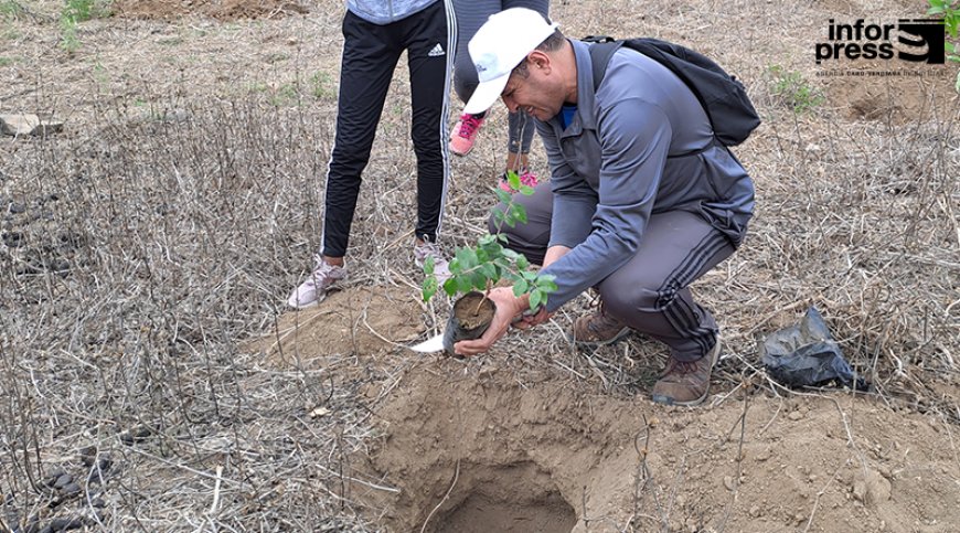 Brava: MAA delegation warns of the need to preserve trees and forests