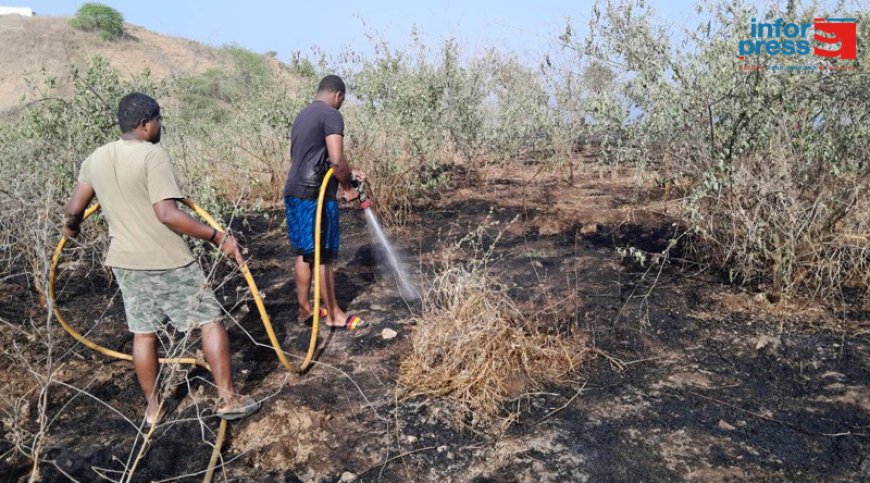 Brava: Fire of unknown origin breaks out about 100 square meters in the vicinity of Aquiles D´Oliveira Stadium