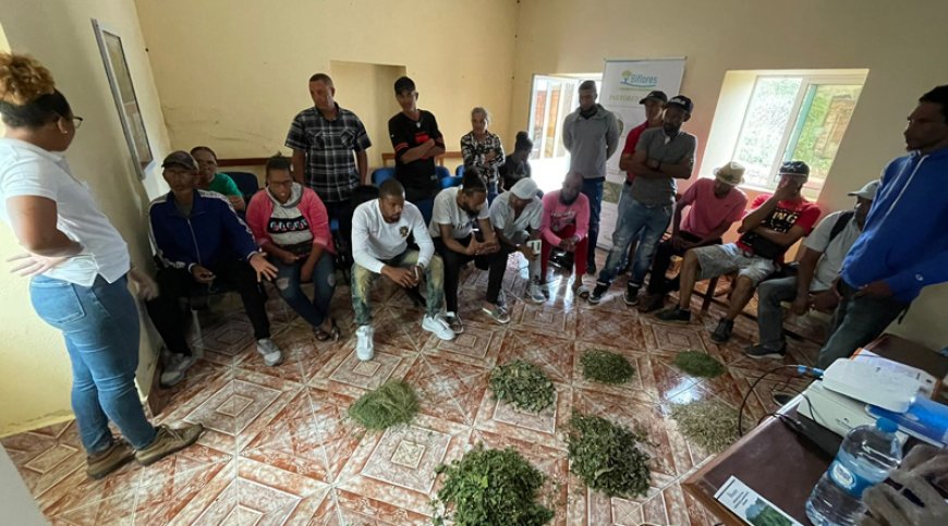 Brava: Sustainable grazing project trains 22 breeders in “animal health and diet”