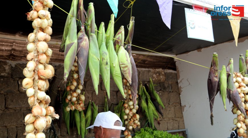 Dia do Município/Brava: Expositores satisfeitos com os resultados da 12ª edição da Feira da Agropecuária