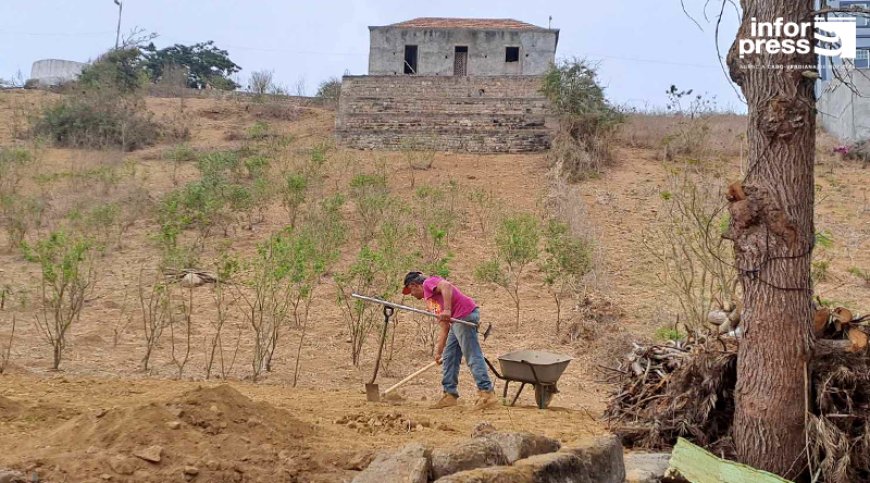 Brava: Faina agrícola comprometida devido ao aumento do preço dos trabalhadores e sementes e a incerteza se vai valer a pena