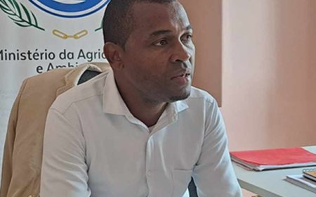 Brava: Delegado do MAA garante que estão a trabalhar para repor o normal funcionamento do teleférico em Lomba