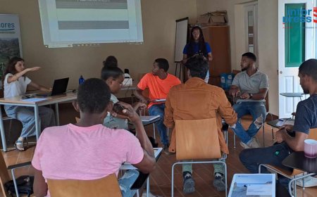 Brava: Biflores and SMILO reinforce the capacity and dynamics of local associations