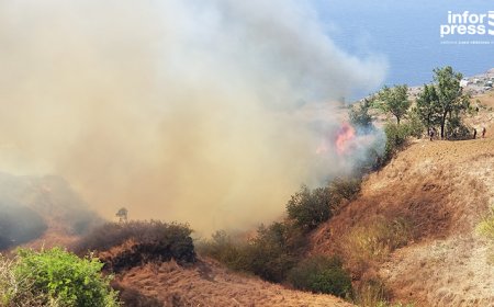 Brava: Civil Protection again warns of the need to redouble care to prevent fires