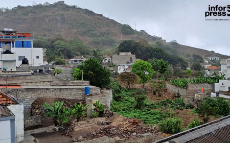 Beneficial rain renews hopes on Ilha Brava, but challenges remain for vulnerable families