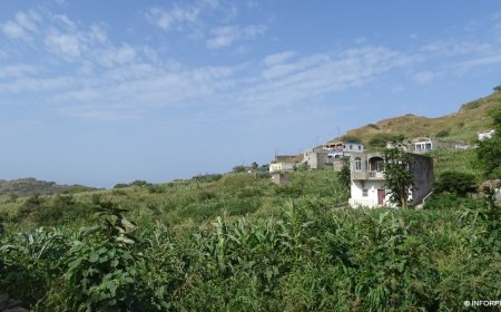Brava: Ministry of Agriculture and Environment “quite hopeful” with 2023 agricultural campaign