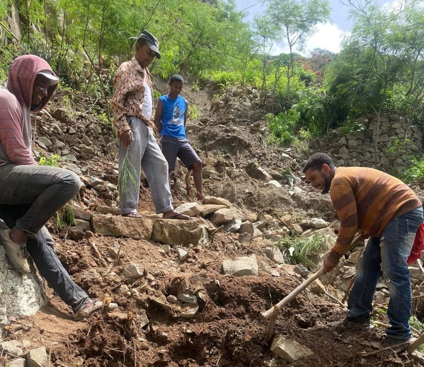 CMB and group of young people from Fajã and Lagoa come together to improve the Caminho Vicinal Fajã - Lagoa