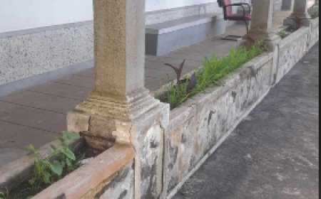 Jardins do Centro de Saúde da Brava carecem de cuidados. Flores murchas, ervas daninhas e lixo entre canteiros desenham este triste cenário