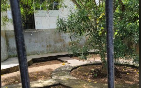 Centro de Saúde da Brava responde a Denúncia e reclamação dos utentes, realiza limpeza do jardim em frente à Instituição