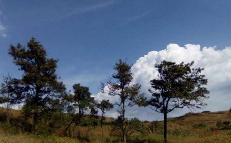 Brava: Associação Biflores anuncia participação no intercâmbio nas Ilhas Canárias