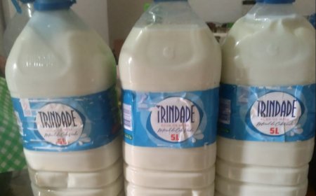 Pastores desesperados com excedente de leite devido à paralisação na fabricação de queijo