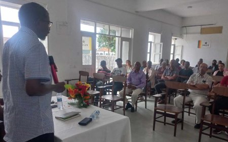 Brava: The central challenge is to work to make transport connecting the island more frequent and safer – Rui Semedo