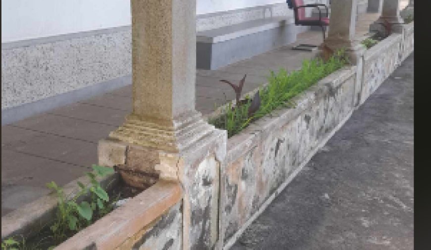 Jardins do Centro de Saúde da Brava carecem de cuidados. Flores murchas, ervas daninhas e lixo entre canteiros desenham este triste cenário