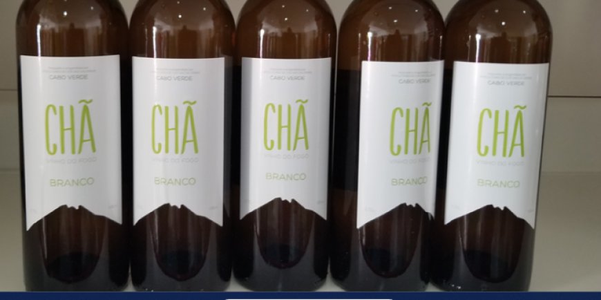 Fogo: “Chã Branco” wine awarded a gold medal in the international wine competition