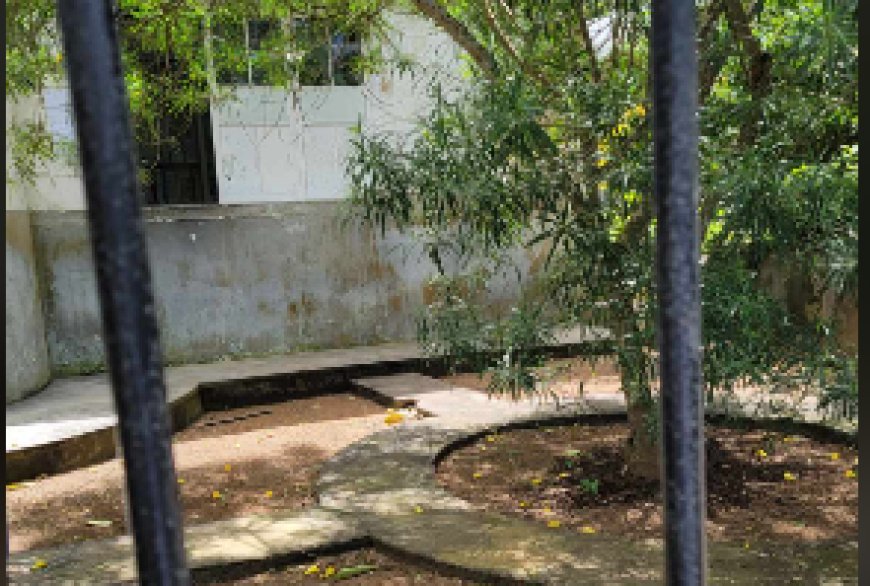Centro de Saúde da Brava responde a Denúncia e reclamação dos utentes, realiza limpeza do jardim em frente à Instituição