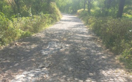 Brava: Drivers “outraged” by the poor condition of Cachaço’s roads