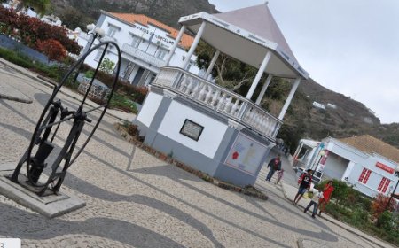 Substitute president of the chamber defends contingency measure and alert adopted by the Government