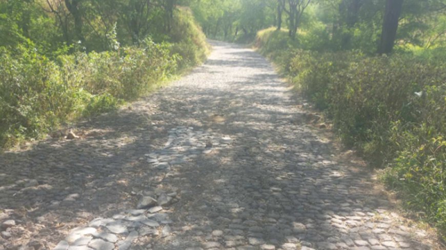 Brava: Drivers “outraged” by the poor condition of Cachaço’s roads