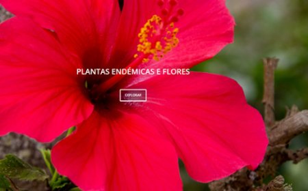 Brava: Raízes+ Project announces website that provides “important” information about ecotourism on the island