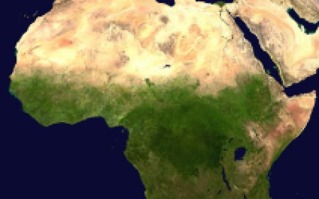 Debate sobre Identidade: cabo-verdianos questionam sua africanidade em meio à celebração desportiva do CAN (Confederação Africana das Nações)