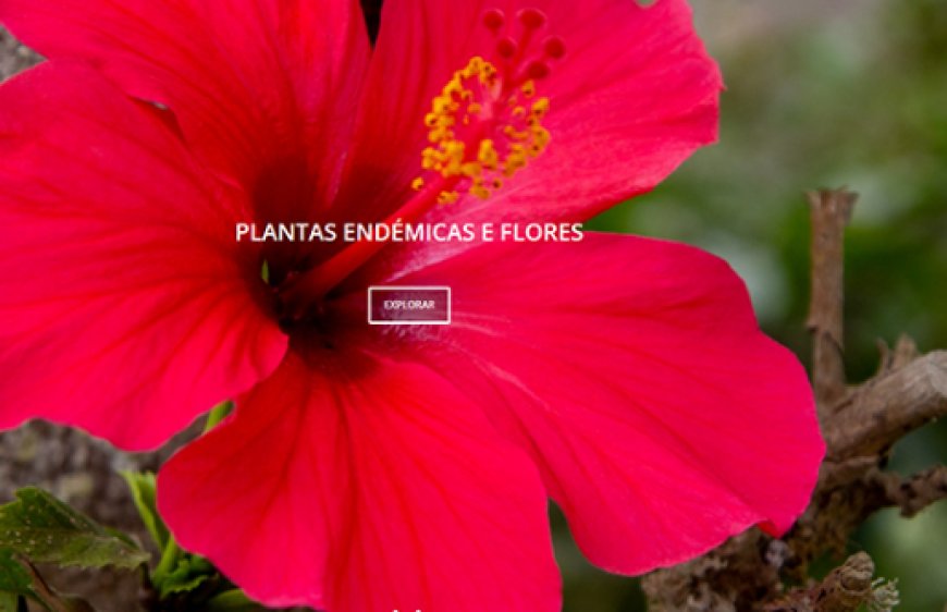 Brava: Raízes+ Project announces website that provides “important” information about ecotourism on the island