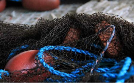 Brava: Brava fishermen call for more attention to their class from the Government