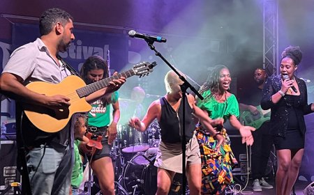 Brava 7Luas Band gives a positive review of the Sete Sóis Sete Luas Festival on the Island of Réunion