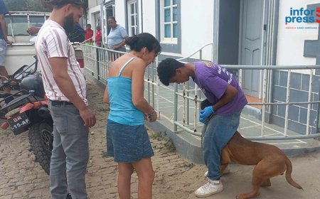 Brava: Bons Amigos Association provides a “positive review” of the VIII mission to the island with more than 200 assistances