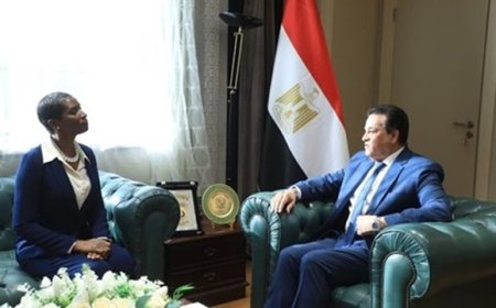 Cape Verde and Egypt discuss cooperation in the area of health