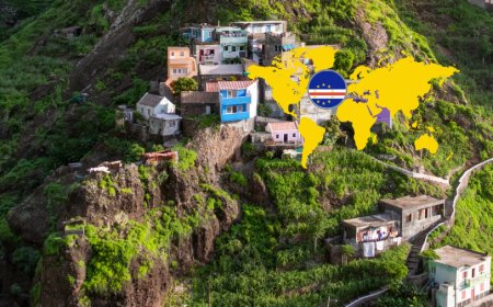 Dengue in Cape Verde: 1,205 Cases Registered in 2024