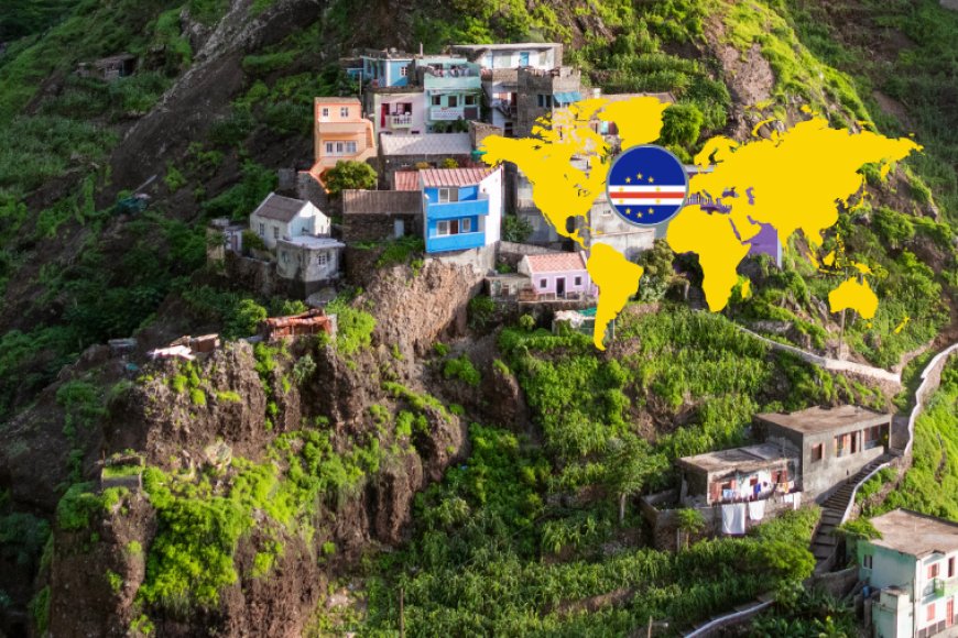 Dengue in Cape Verde: 1,205 Cases Registered in 2024 - Brava News